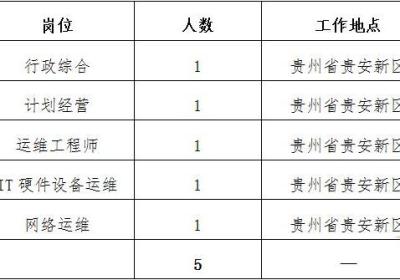 【社招】国家电投集团数字科技有限公司公开招聘公告