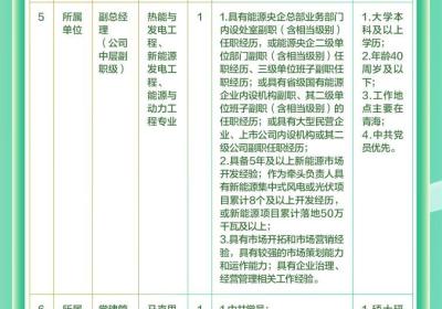 【社招】中国南水北调新能源投资有限公司社会招聘